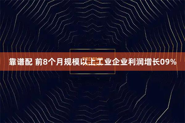 靠谱配 前8个月规模以上工业企业利润增长09%