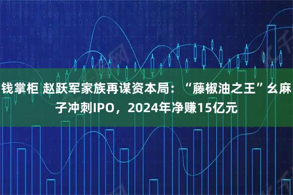 钱掌柜 赵跃军家族再谋资本局：“藤椒油之王”幺麻子冲刺IPO，2024年净赚15亿元