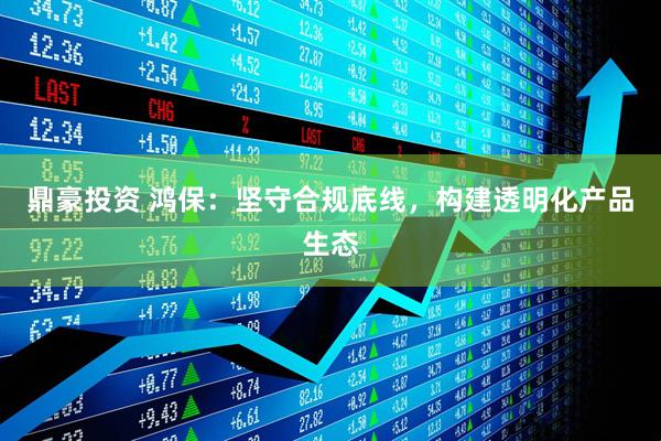 鼎豪投资 鸿保：坚守合规底线，构建透明化产品生态
